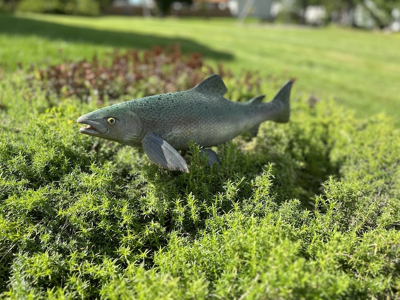 Atlantic Salmon Sculpture with pen for the Author in all of us by DW Carving Studio